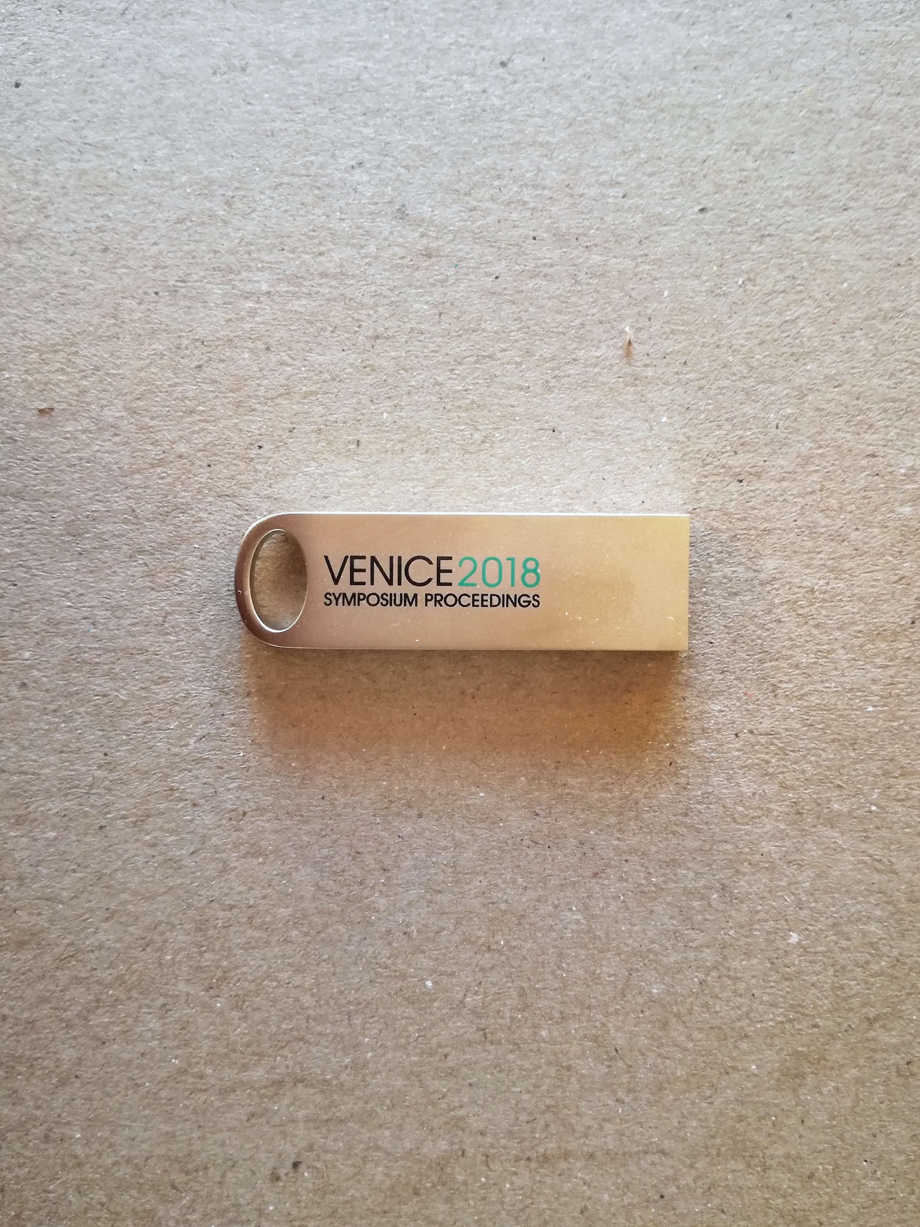 VENICE2018</br>7th International Symposium on Energy from Biomass and Waste (USB pendrive)